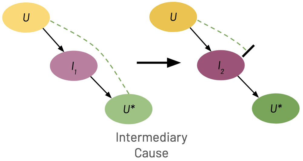 Intermediary Cause